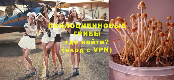 apvp Алзамай