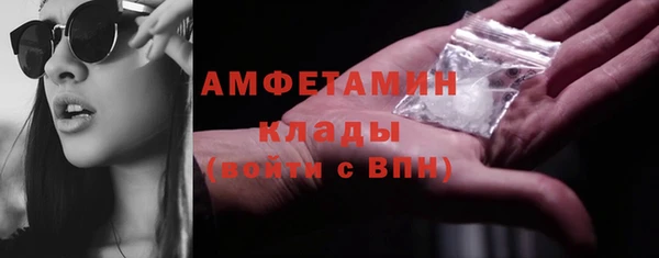 apvp Алзамай