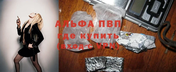 apvp Алзамай