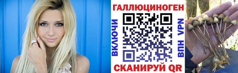 Псилоцибиновые грибы ЛСД  Комсомольск 